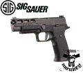 SigsauerAXG2.png