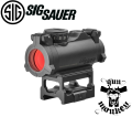 Sigsauer1.png
