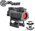 Sigsauer2.png