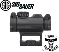 Sigsauer3.png