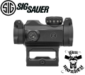 Sigsauer4.png