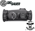 Sigsauer5.png