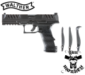 pdpfs54.png