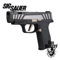 Pistolet Sig Sauer P365 AXG EQUINOX kal. 9x19 (365AXG-9-COMP-EQ)