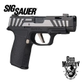 Pistolet Sig Sauer P365 AXG EQUINOX kal. 9x19 (365AXG-9-COMP-EQ)