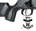 rascal XP trigger (M).png