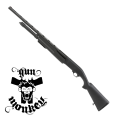 armsan.png