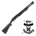 armsan rsx1.png