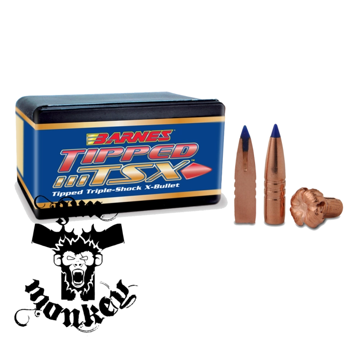 ttsx.png