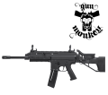 GSG15-1.png