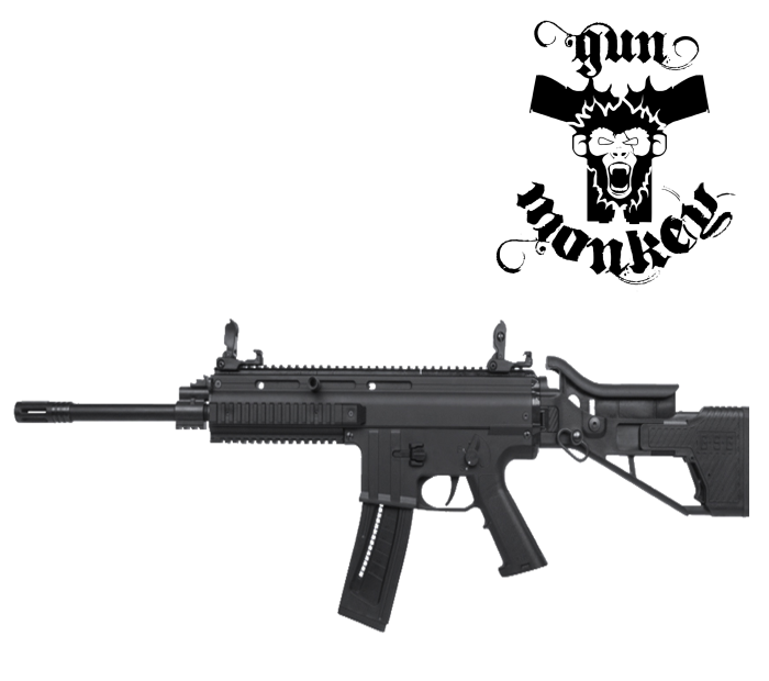 GSG15-1.png