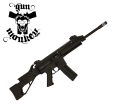 GSG15-2.png